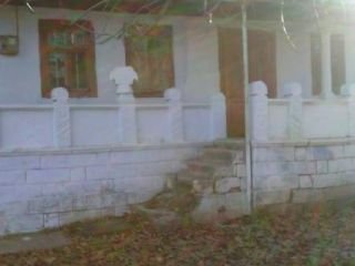 Vanzare Vila