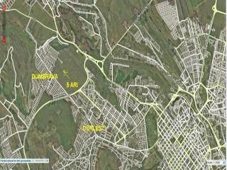 Sale Construction land